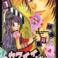  ����� Kawaii dake ja Moto Tarinai! <small>Story & Art</small> 